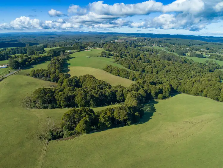 Sixth view of Homely rural property listing, LOT 3, 125 Beech Forest - Lavers Hill Road, Beech Forest VIC 3237