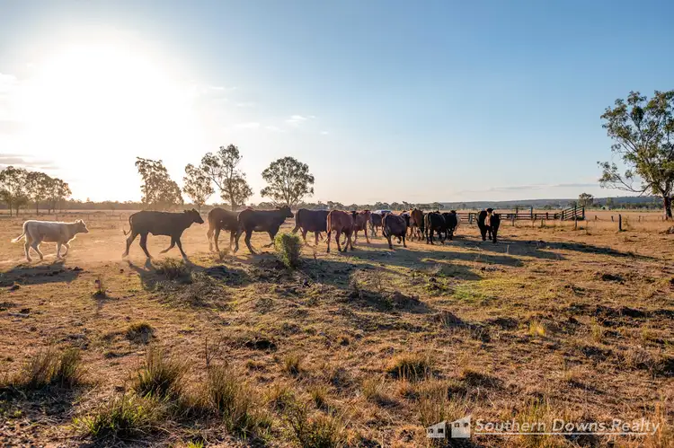 Third view of Homely rural property listing, LOT 29 Dalrymple Creek Road, Talgai QLD 4362