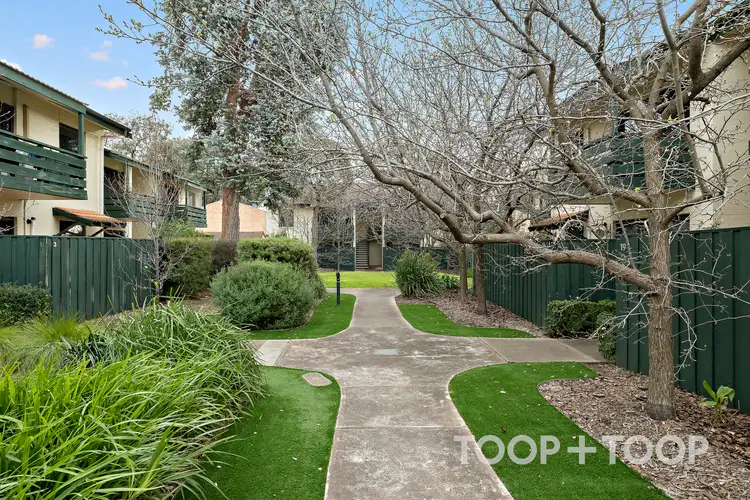 14/355 Fullarton Road, Fullarton SA 5063