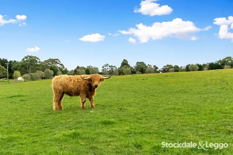 Fourth view of Homely land listing, 100 Traralgon West Road, Traralgon VIC 3844