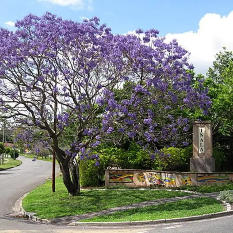 Main view of Homely house listing, 71 Rosemary Street, Inala QLD 4077
