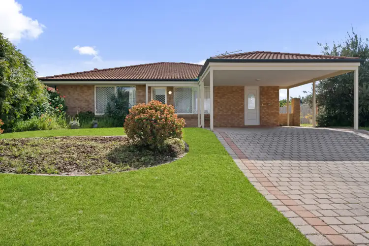 6 Tree Court, Banksia Grove WA 6031