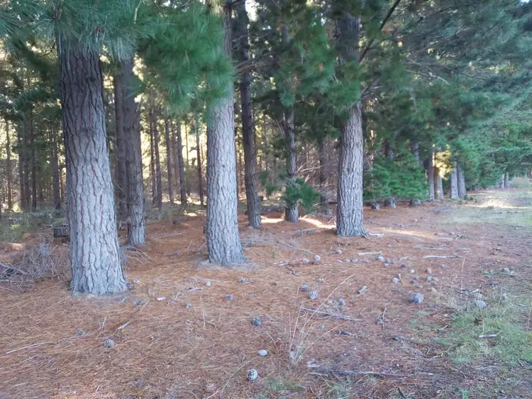 Second view of Homely land listing, Tasman Highway, Little Swanport TAS 7190