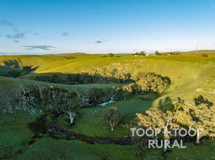Main view of Homely rural property listing, 140 M Wrights Road, Eden Valley SA 5235