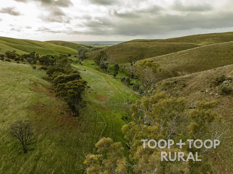 Fourth view of Homely rural property listing, 140 M Wrights Road, Eden Valley SA 5235