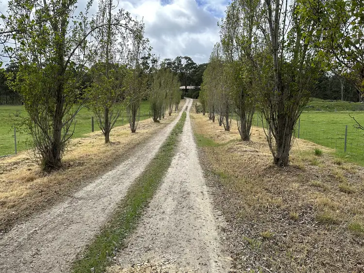 Second view of Homely rural property listing, 8352 Horrocks Highway, Sevenhill SA 5453
