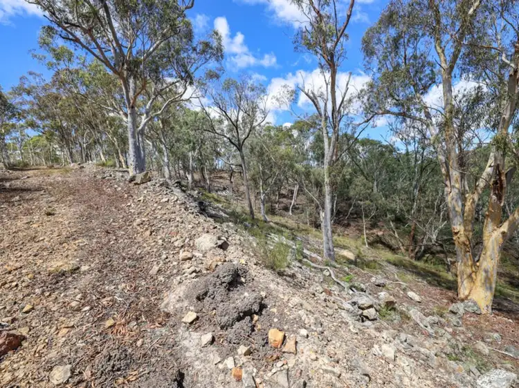 Fourth view of Homely rural property listing, 380 Strawberry Creek Road, Windellama NSW 2580