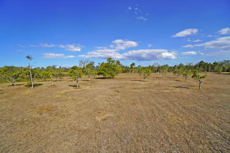 Third view of Homely land listing, LOT 342 Pine Close, Biboohra QLD 4880