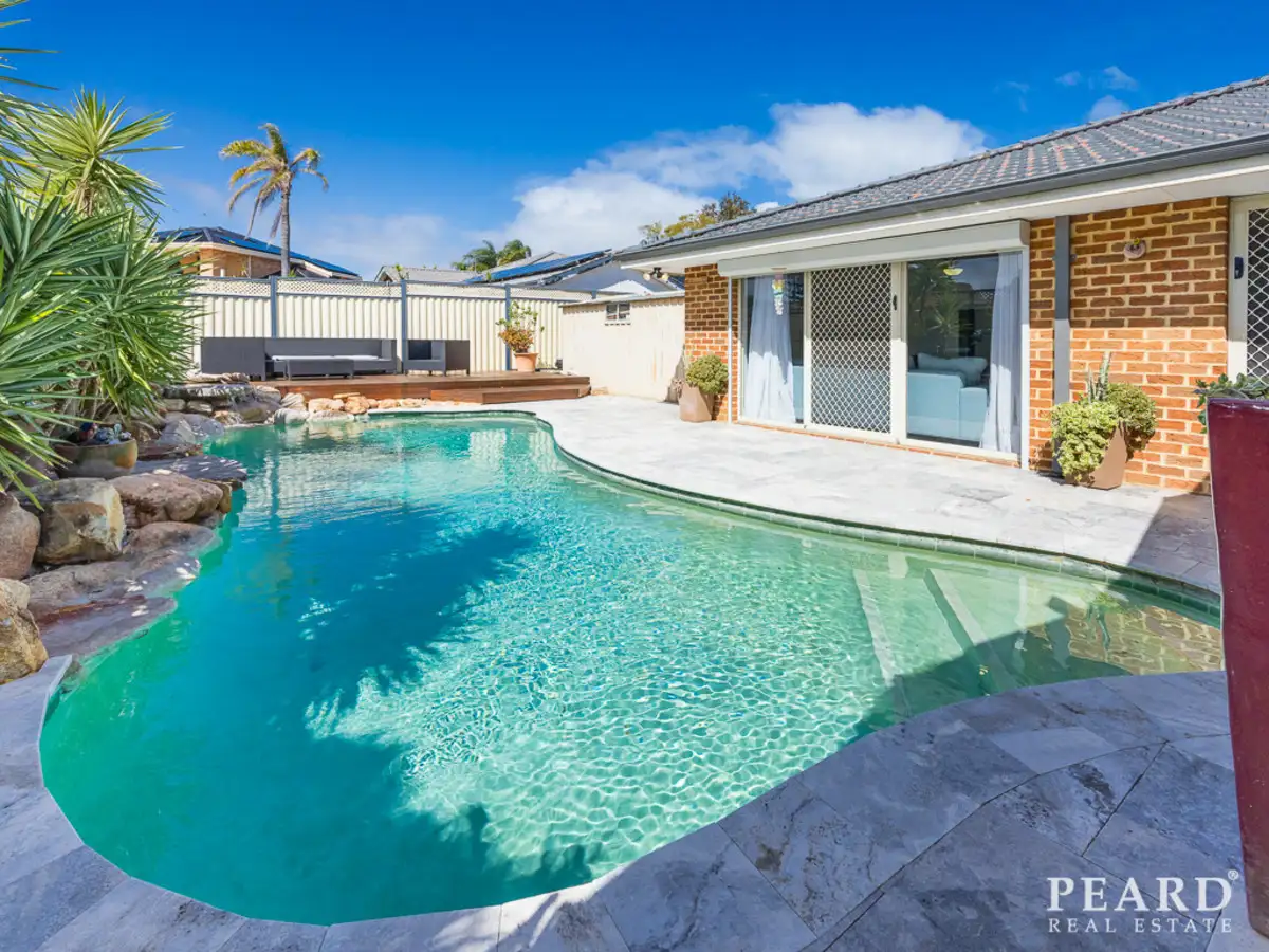 Main view of Homely house listing, 16 Thistle Grove, Currambine WA 6028