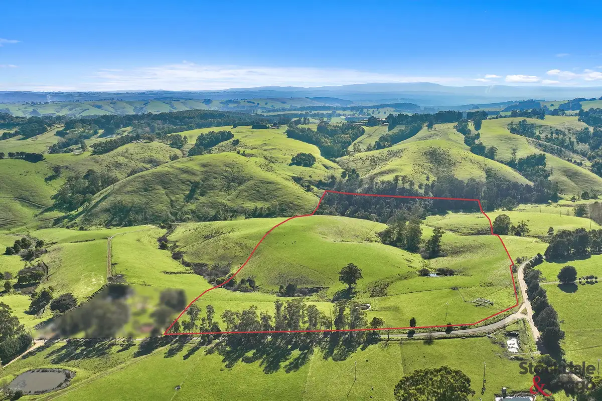 Main view of Homely rural property listing, 515 Clear Creek Road, Mirboo VIC 3871