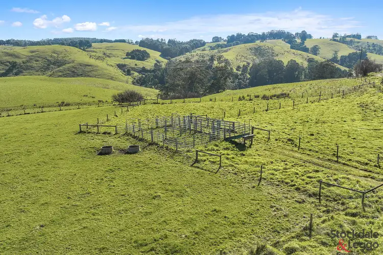 Fifth view of Homely rural property listing, 515 Clear Creek Road, Mirboo VIC 3871