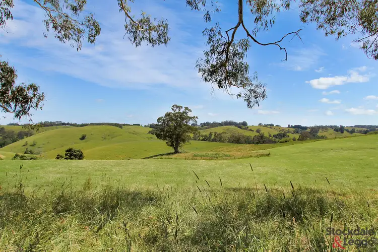 Sixth view of Homely rural property listing, 515 Clear Creek Road, Mirboo VIC 3871