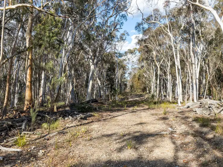 Fifth view of Homely rural property listing, 874 Sandy Point Road, Lower Boro NSW 2580