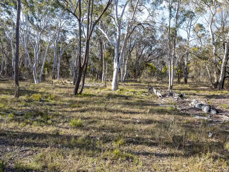 Sixth view of Homely rural property listing, 874 Sandy Point Road, Lower Boro NSW 2580