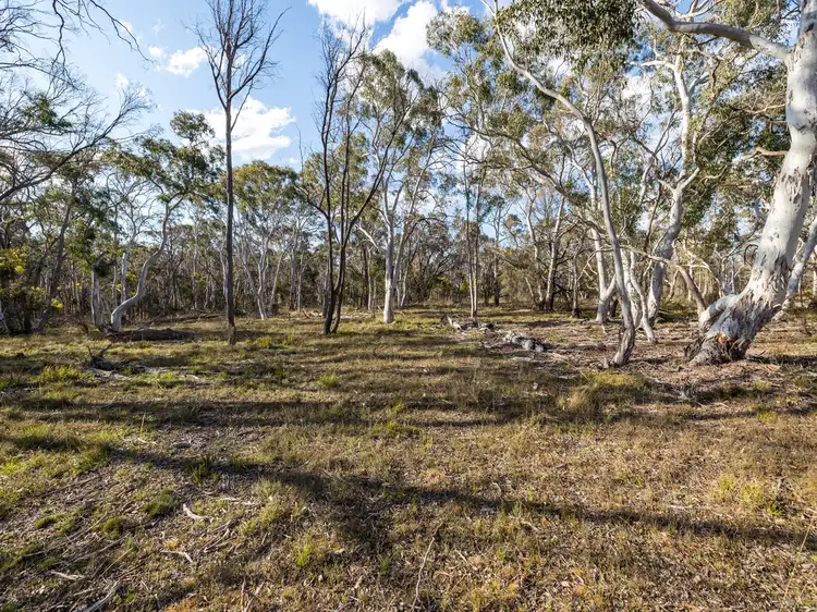 Seventh view of Homely rural property listing, 874 Sandy Point Road, Lower Boro NSW 2580