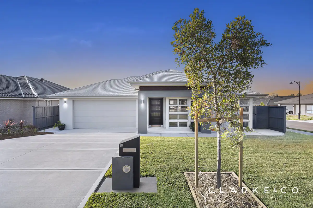 Main view of Homely house listing, 19 Basker Street, Chisholm NSW 2322