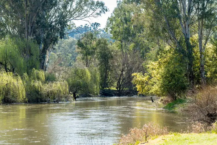 Fourth view of Homely rural property listing, 334 Gentle Road, Gundowring VIC 3691