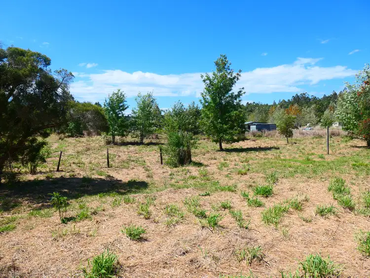 Second view of Homely land listing, 8598 Bruxner Highway, Tabulam NSW 2469