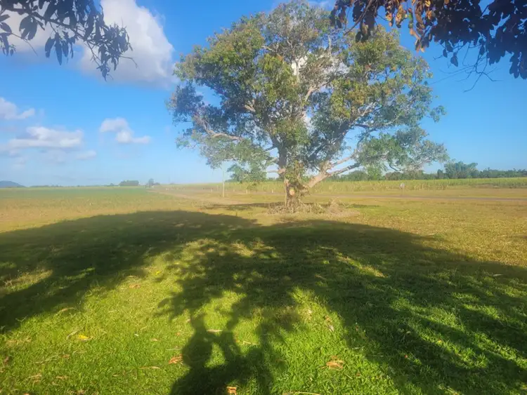 Fifth view of Homely rural property listing, LOT 2 Hawkins Creek Road, Hawkins Creek QLD 4850