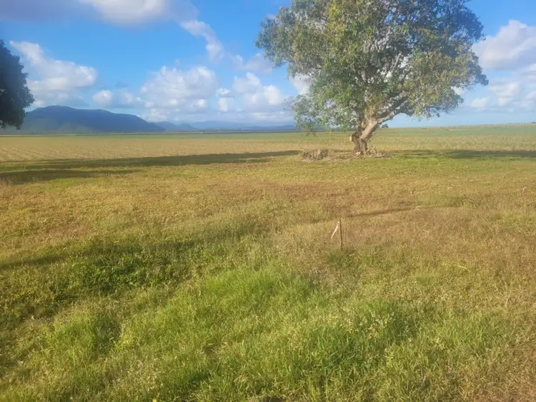 Sixth view of Homely rural property listing, LOT 2 Hawkins Creek Road, Hawkins Creek QLD 4850