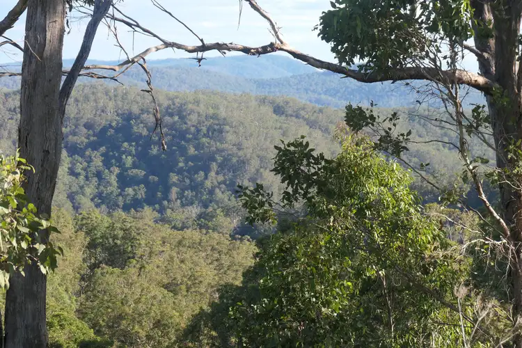 Second view of Homely rural property listing, 200 Lees Lane, Hogarth Range NSW 2469