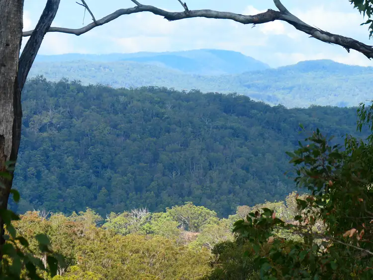 Third view of Homely rural property listing, 200 Lees Lane, Hogarth Range NSW 2469