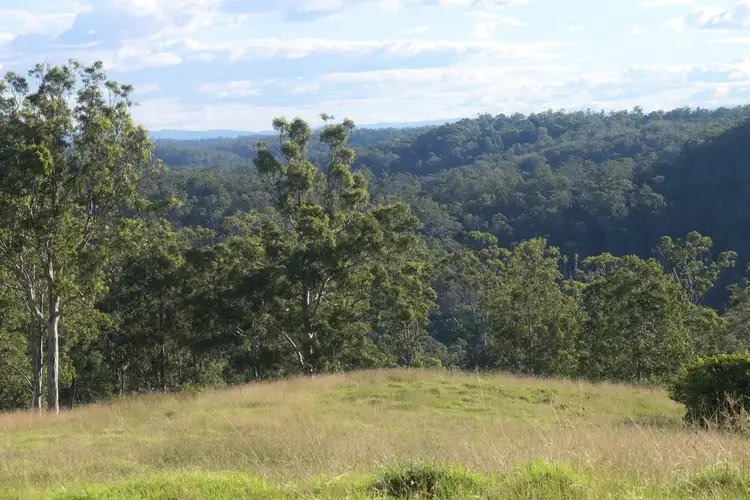 Fourth view of Homely rural property listing, 200 Lees Lane, Hogarth Range NSW 2469