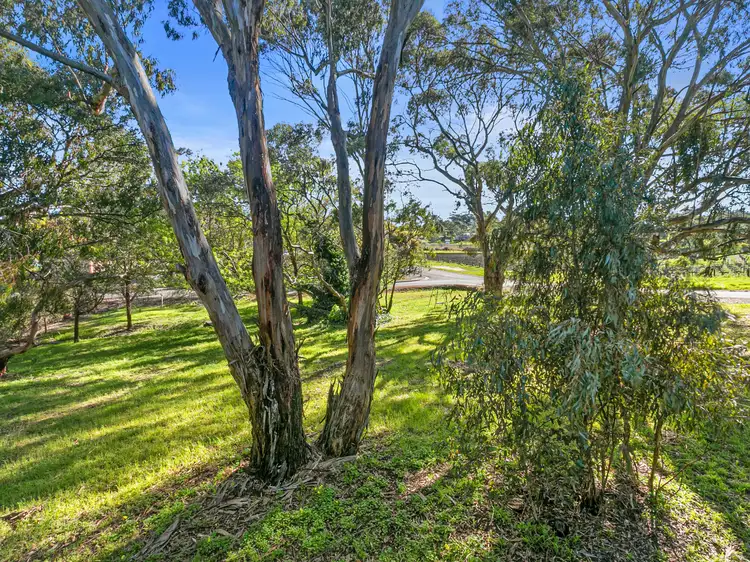 Sixth view of Homely house listing, 13 North Terrace, Watervale SA 5452