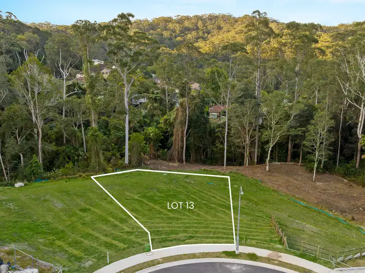 4 Arum Close, Springfield NSW 2250
