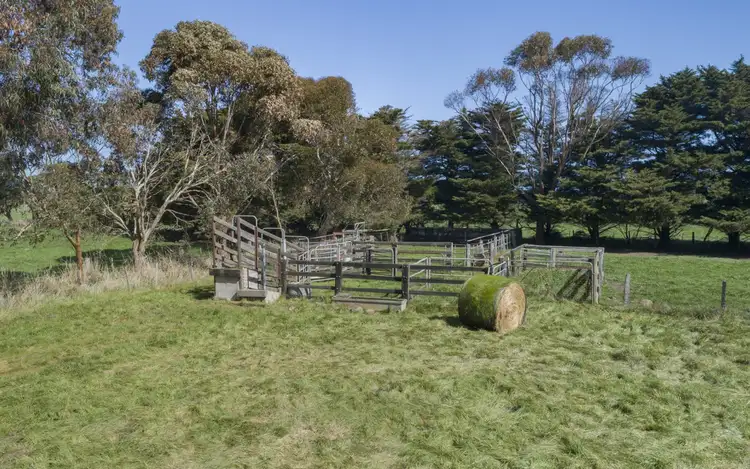 Fourth view of Homely rural property listing, 1189 Camperdown-Lismore Road, Kariah VIC 3260
