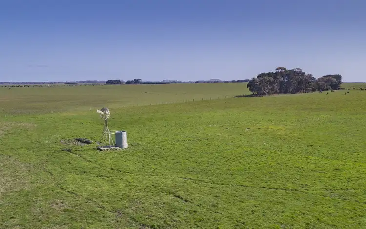 Seventh view of Homely rural property listing, 1189 Camperdown-Lismore Road, Kariah VIC 3260