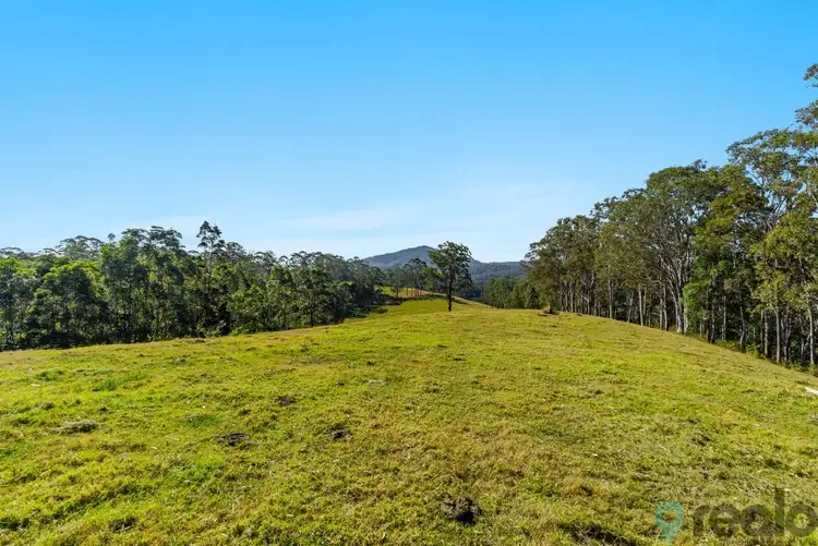 Fourth view of Homely rural property listing, 318 Hillyards Road, Boorabee Park NSW 2480