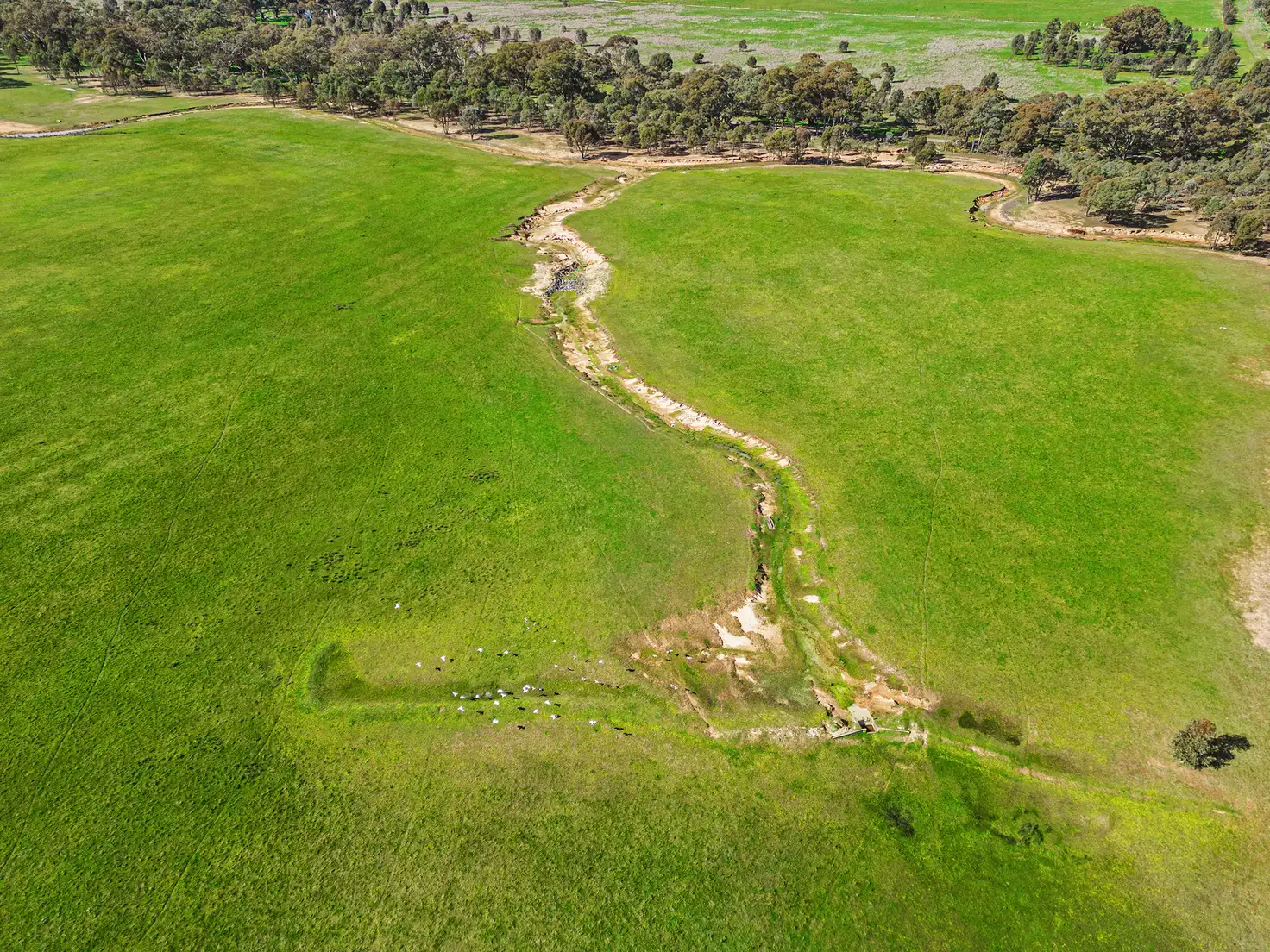 Main view of Homely rural property listing, CA 27 & CA 4 Derrinal Crossbie Road, Toolleen VIC 3551
