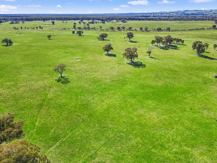Sixth view of Homely rural property listing, CA 27 & CA 4 Derrinal Crossbie Road, Toolleen VIC 3551
