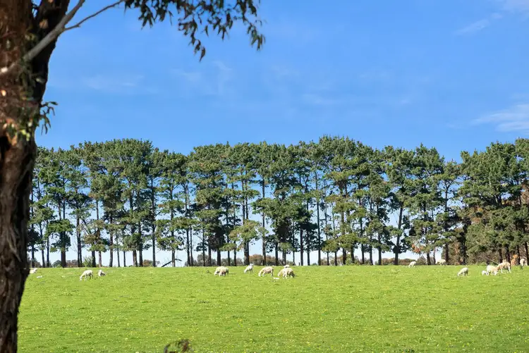 Third view of Homely rural property listing, 1252 - 1290 Portarlington Road, Curlewis VIC 3222