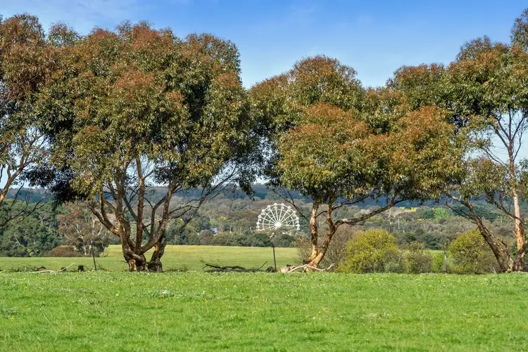 Fifth view of Homely rural property listing, 1252 - 1290 Portarlington Road, Curlewis VIC 3222
