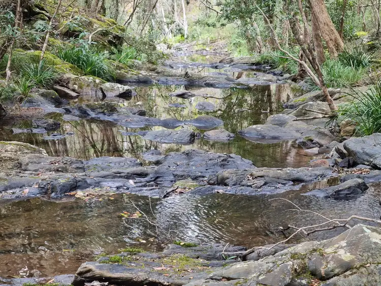 Third view of Homely rural property listing, Doyles River Road, Debenham NSW 2446