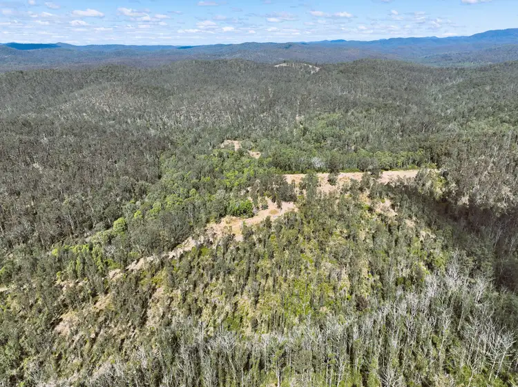 Fourth view of Homely rural property listing, Doyles River Road, Debenham NSW 2446