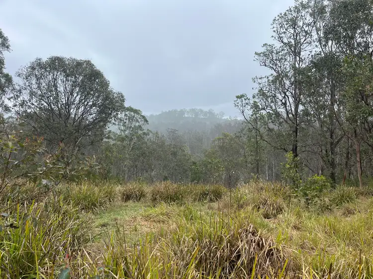 Fifth view of Homely rural property listing, Doyles River Road, Debenham NSW 2446