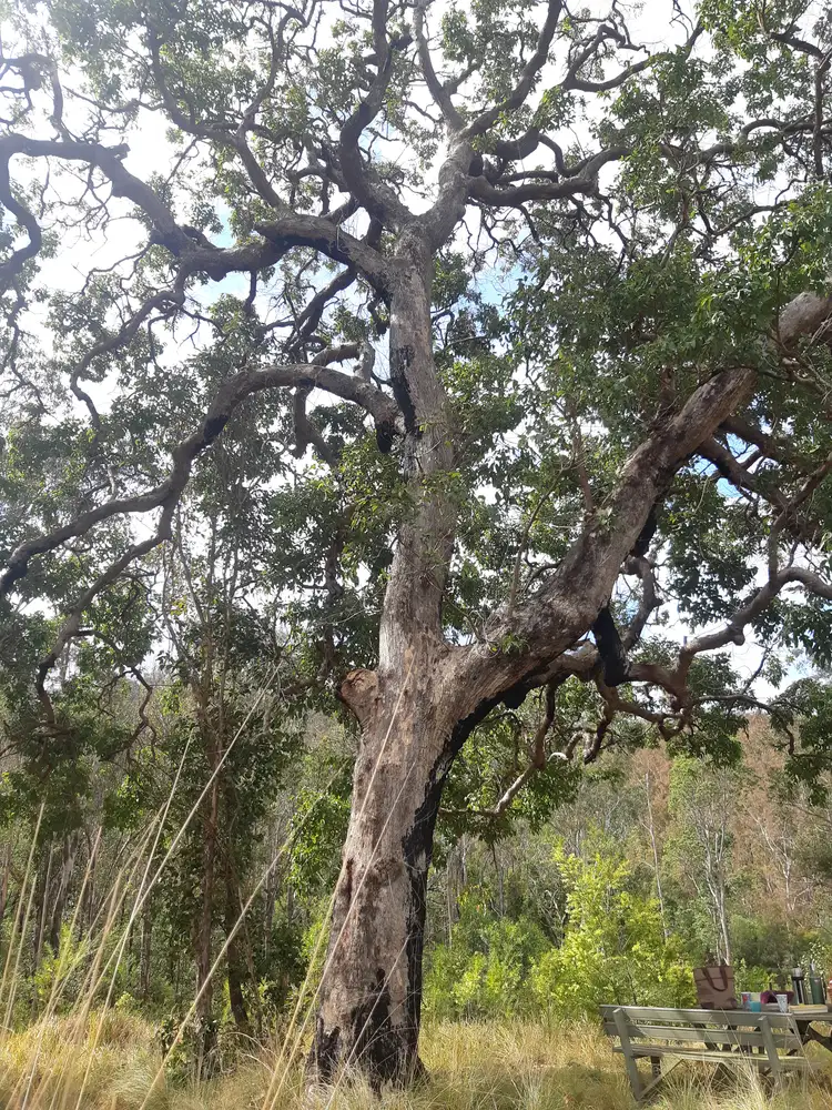 Seventh view of Homely rural property listing, Doyles River Road, Debenham NSW 2446