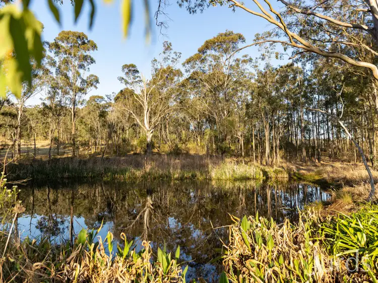 Seventh view of Homely rural property listing, 24B The Ballabourneen, Lovedale NSW 2325