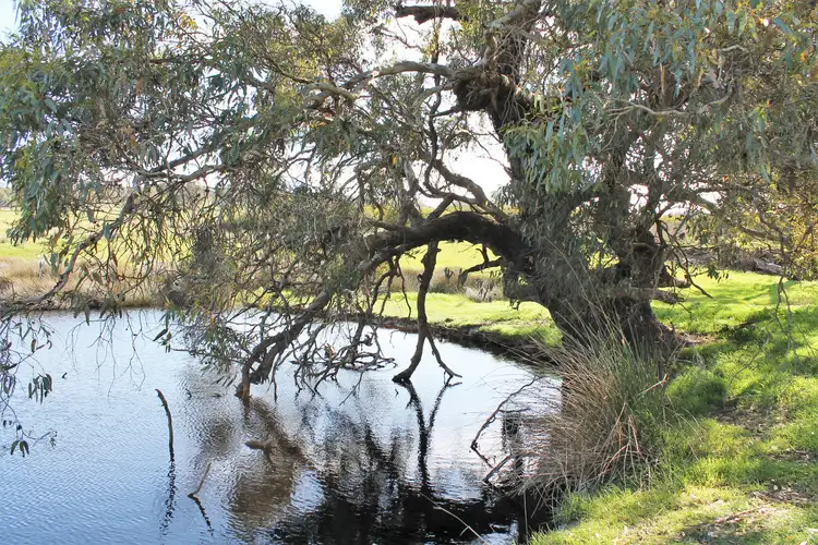 Main view of Homely land listing, Lot 515 Warburton Road, Mount Barker WA 6324