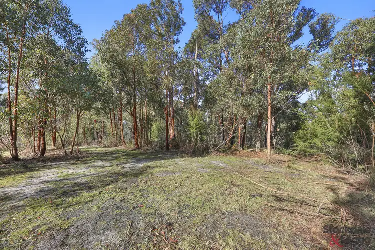 Third view of Homely land listing, 224 Ricardo Road, Mirboo North VIC 3871