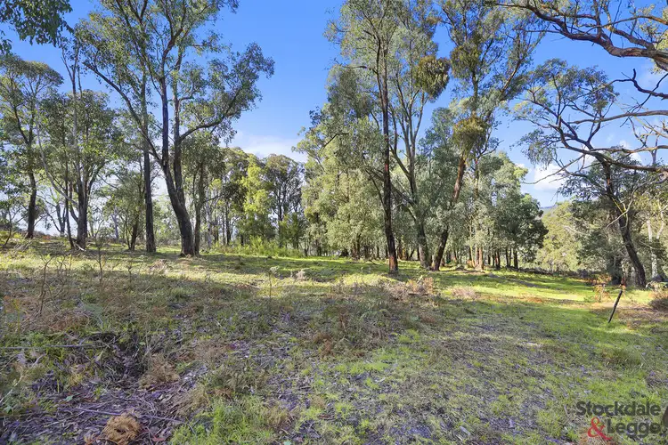 Fifth view of Homely land listing, 224 Ricardo Road, Mirboo North VIC 3871