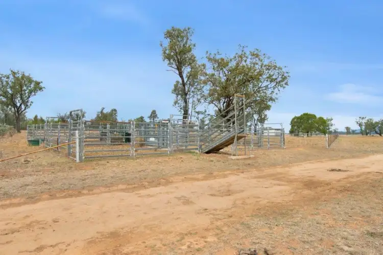 Sixth view of Homely rural property listing, LOT 92 Elcombe Road, Bangheet NSW 2404