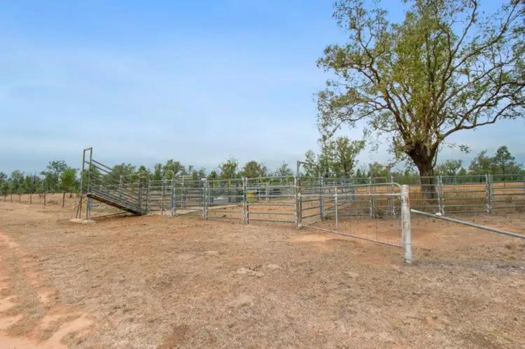Seventh view of Homely rural property listing, LOT 92 Elcombe Road, Bangheet NSW 2404