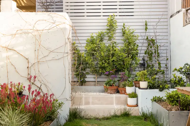 Fourth view of Homely terrace listing, 26 Lawson Street, Paddington NSW 2021