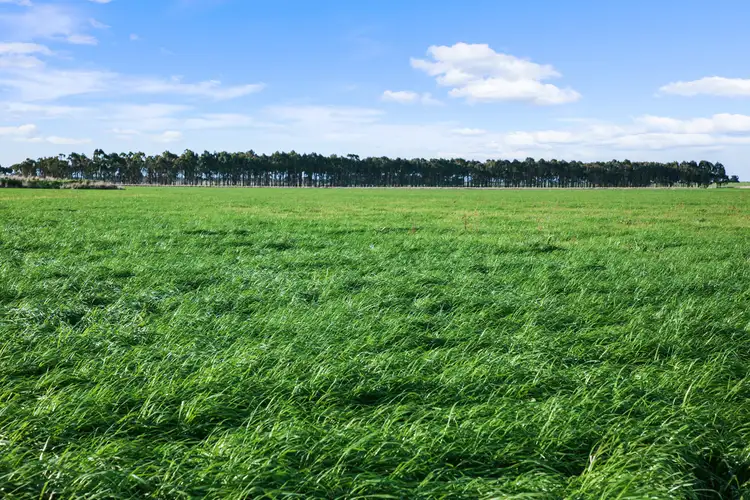 Fifth view of Homely rural property listing, "Enfield" Westbank Road, Leslie Manor VIC 3260
