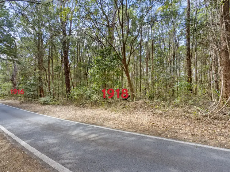 Third view of Homely land listing, 1916 Springbrook Road, Springbrook QLD 4213