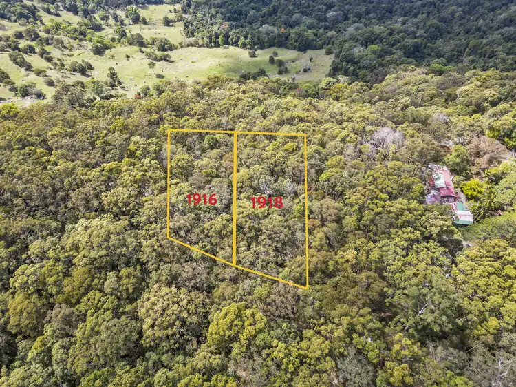 Fourth view of Homely land listing, 1916 Springbrook Road, Springbrook QLD 4213